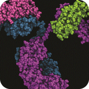 Bioanalytical Challenges of Biosimilars