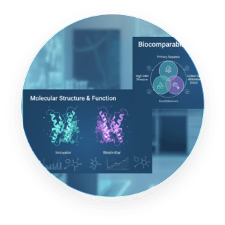 Biosimilars Characterization