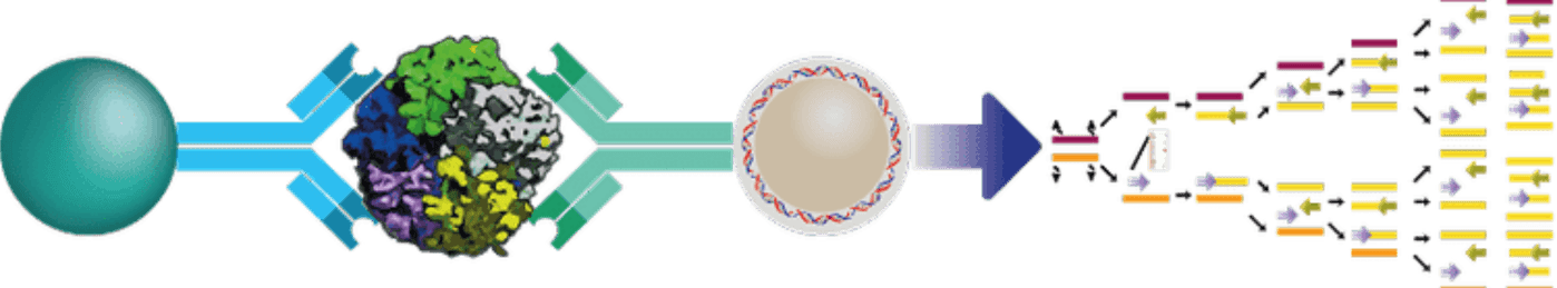 Amplatto Technology Diagram