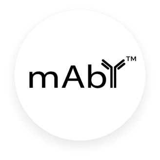 mAbY Antibody Platform